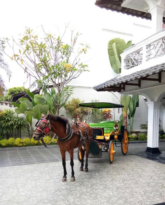 Raintree Boutique Villa & Gallery Jogyakarta Zewnętrze zdjęcie